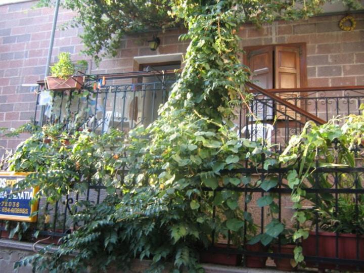Μαχη Ενοικιαζόμενα Δωμάτια ميثيمْنا المظهر الخارجي الصورة